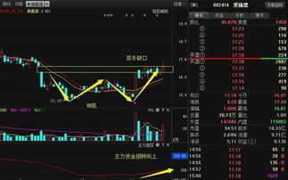 筑雙重底后主力資金強力拉升，A股妖股再現征兆？