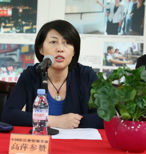 四海同心映赤忱 光影流芳譜華章——'四海同心 盛世夢圓'圖片展巴黎側記